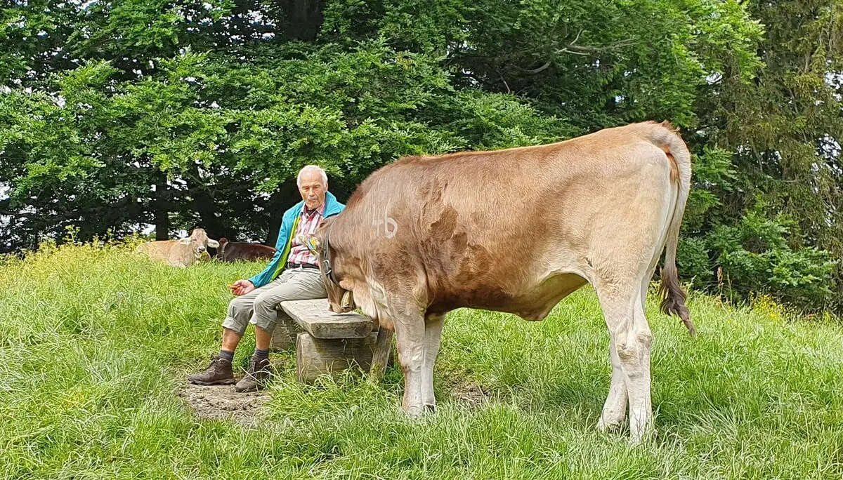 Ein Hüterbub bei der Alpe Wenger Egg  | © DAV/Werner Létang