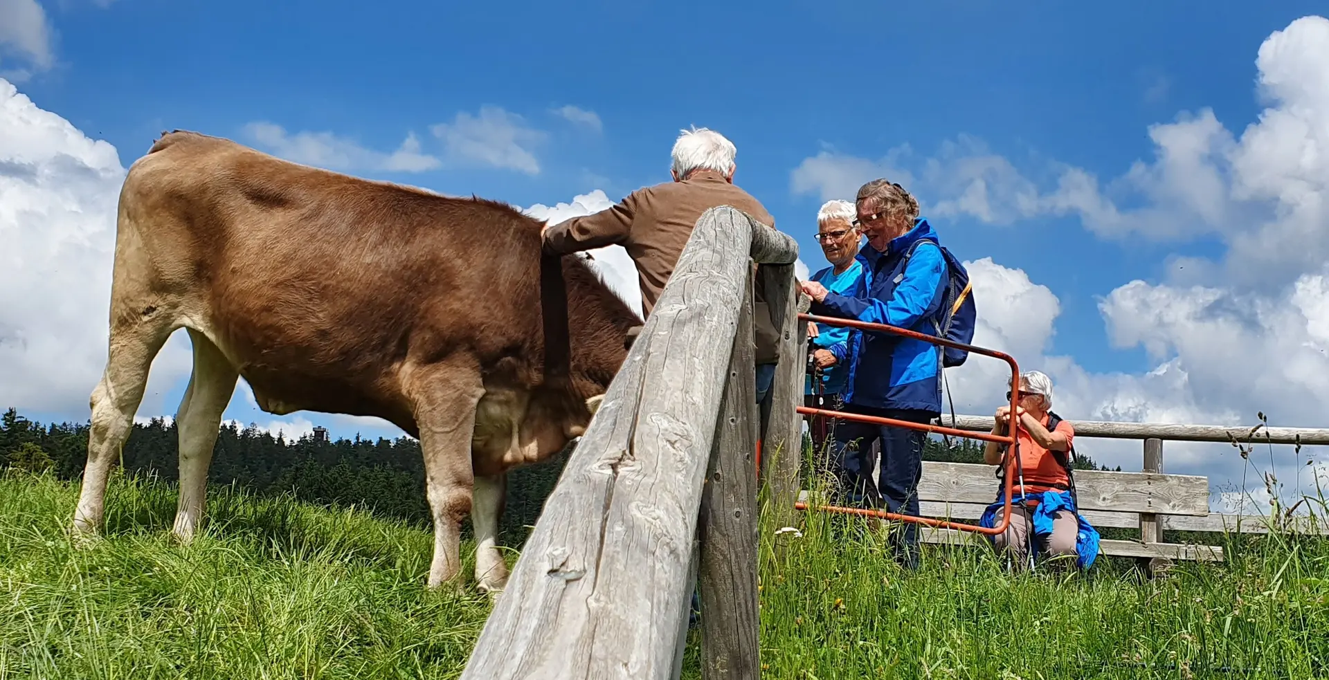Hütebub oder -madl bei den zahlreichen Schumpen | © DAV/Werner Létang
