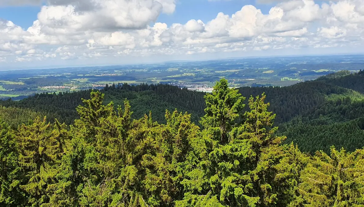 Eine gute Sicht über die Allgäuer Alpen | © DAV/Werner Létang