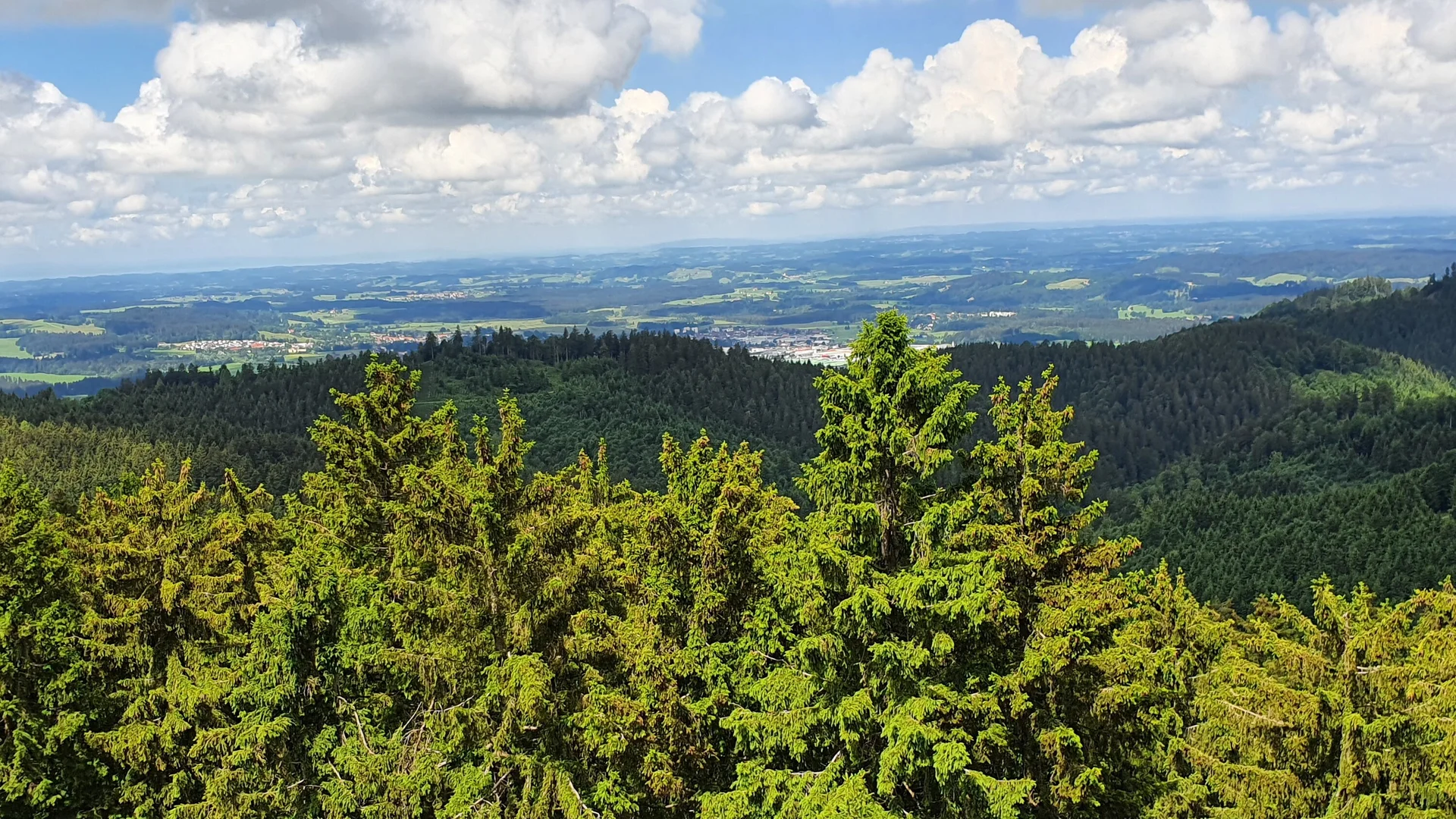 Eine gute Sicht über die Allgäuer Alpen | © DAV/Werner Létang