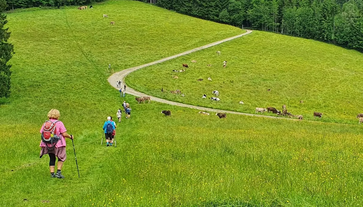 Abstiegsweg entlang des Rotenbachs  | © DAV/Werner Létang