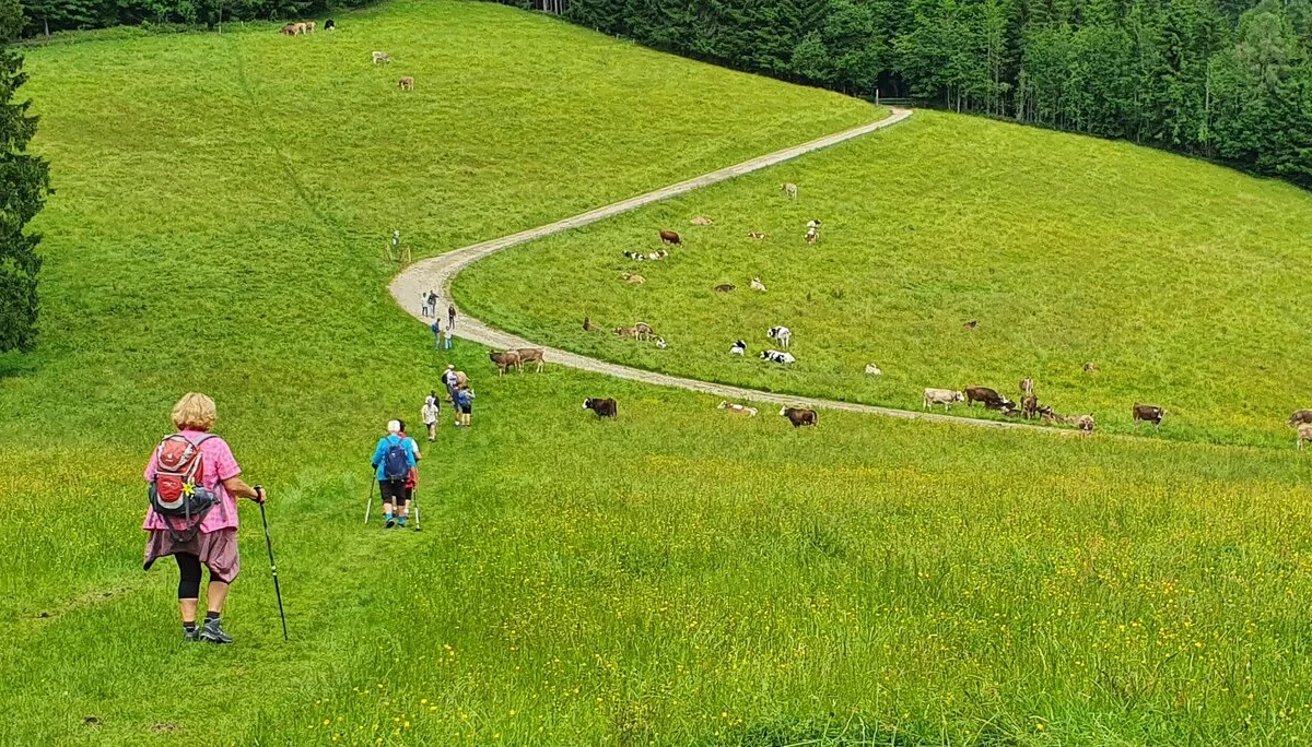 Abstiegsweg entlang des Rotenbachs  | © DAV/Werner Létang