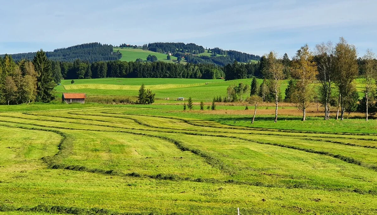 © DAV/Werner Létang