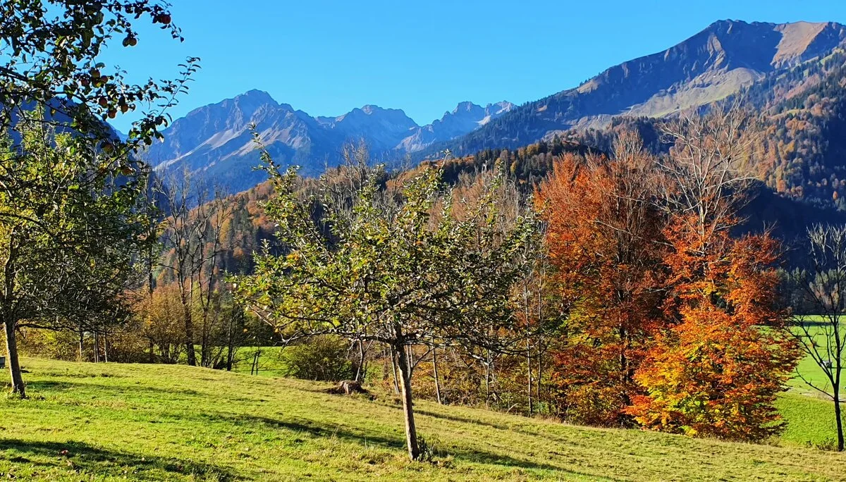 © DAV/Werner Letang