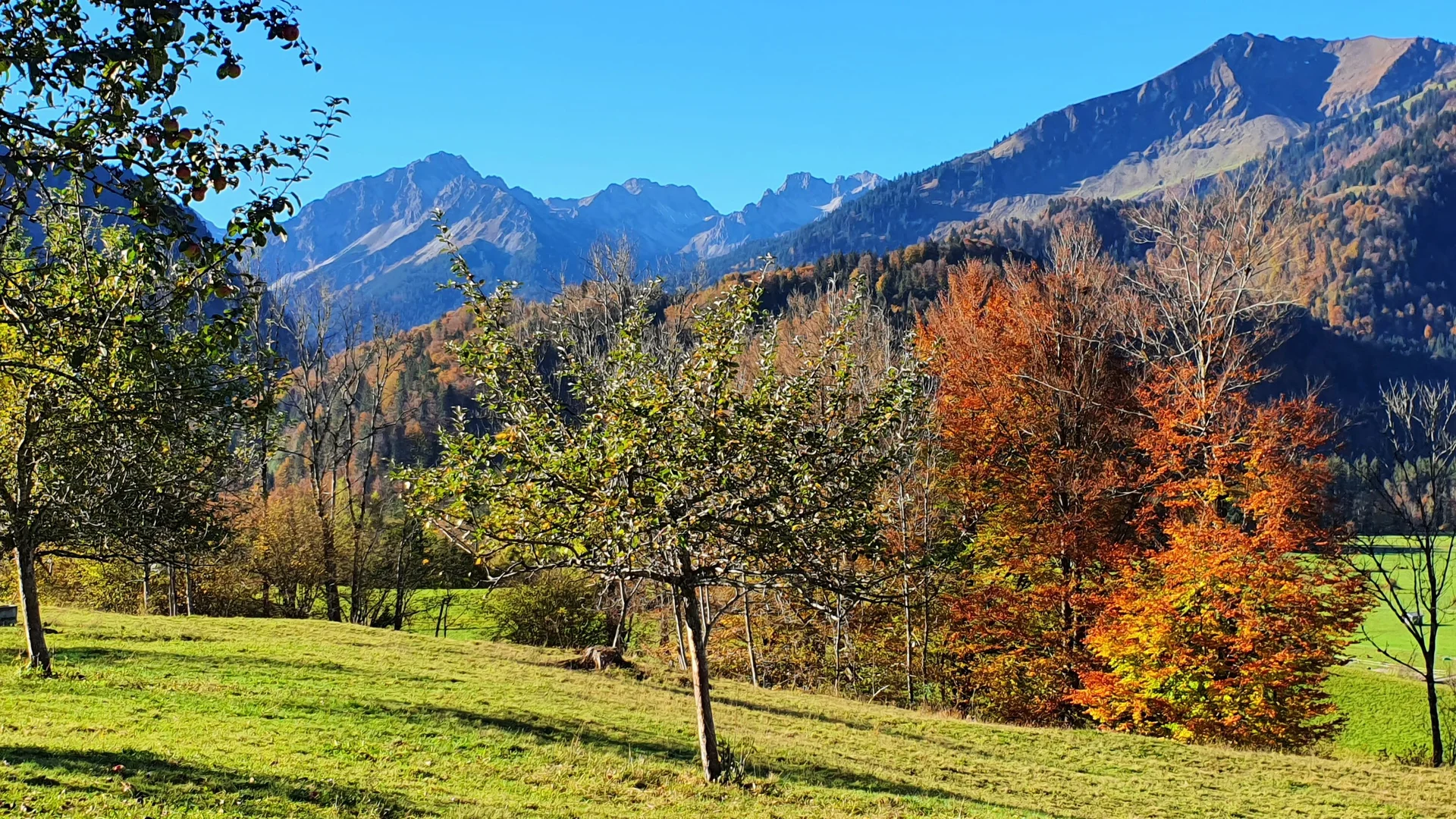 © DAV/Werner Letang