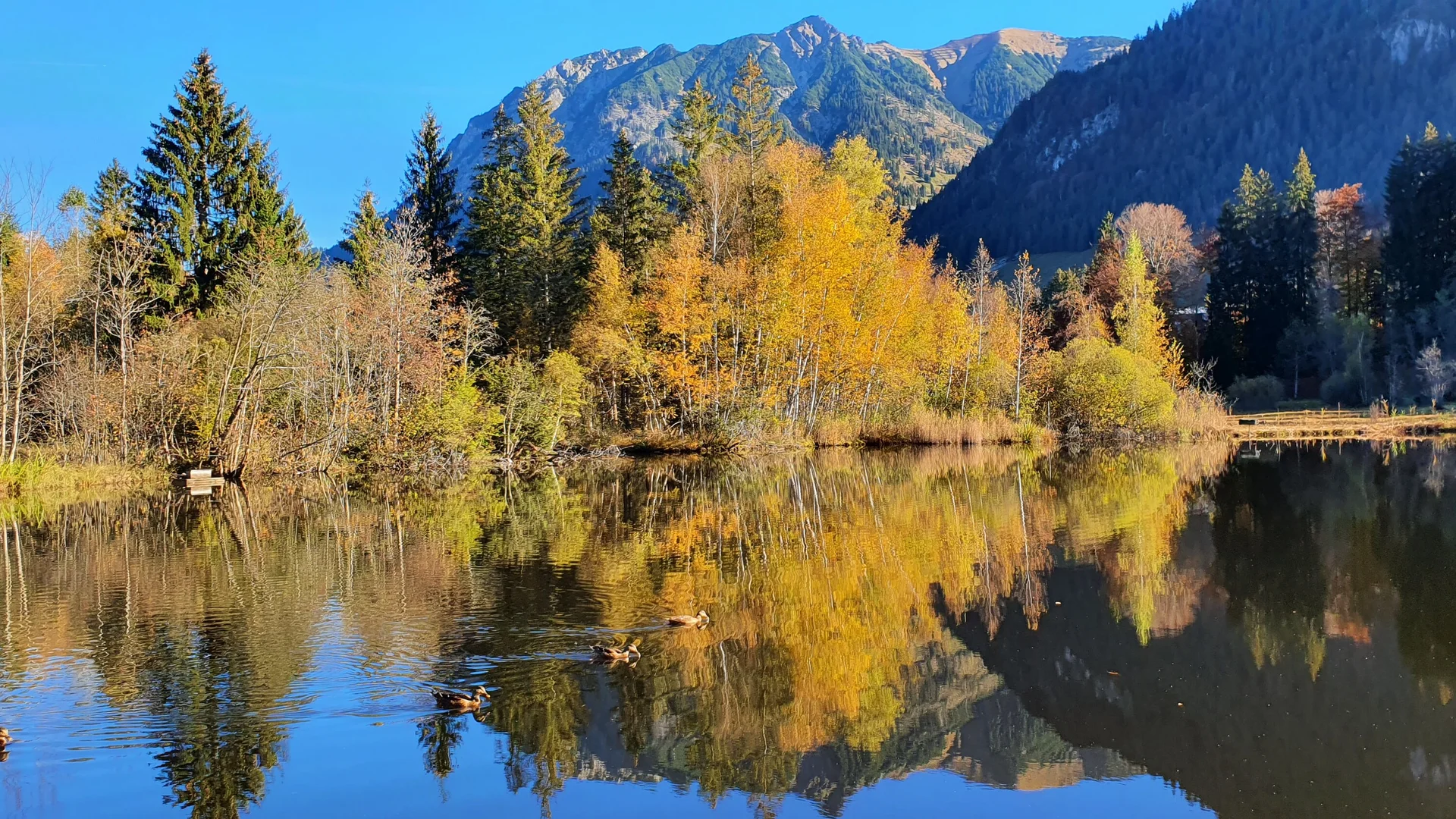 © DAV/Werner Letang