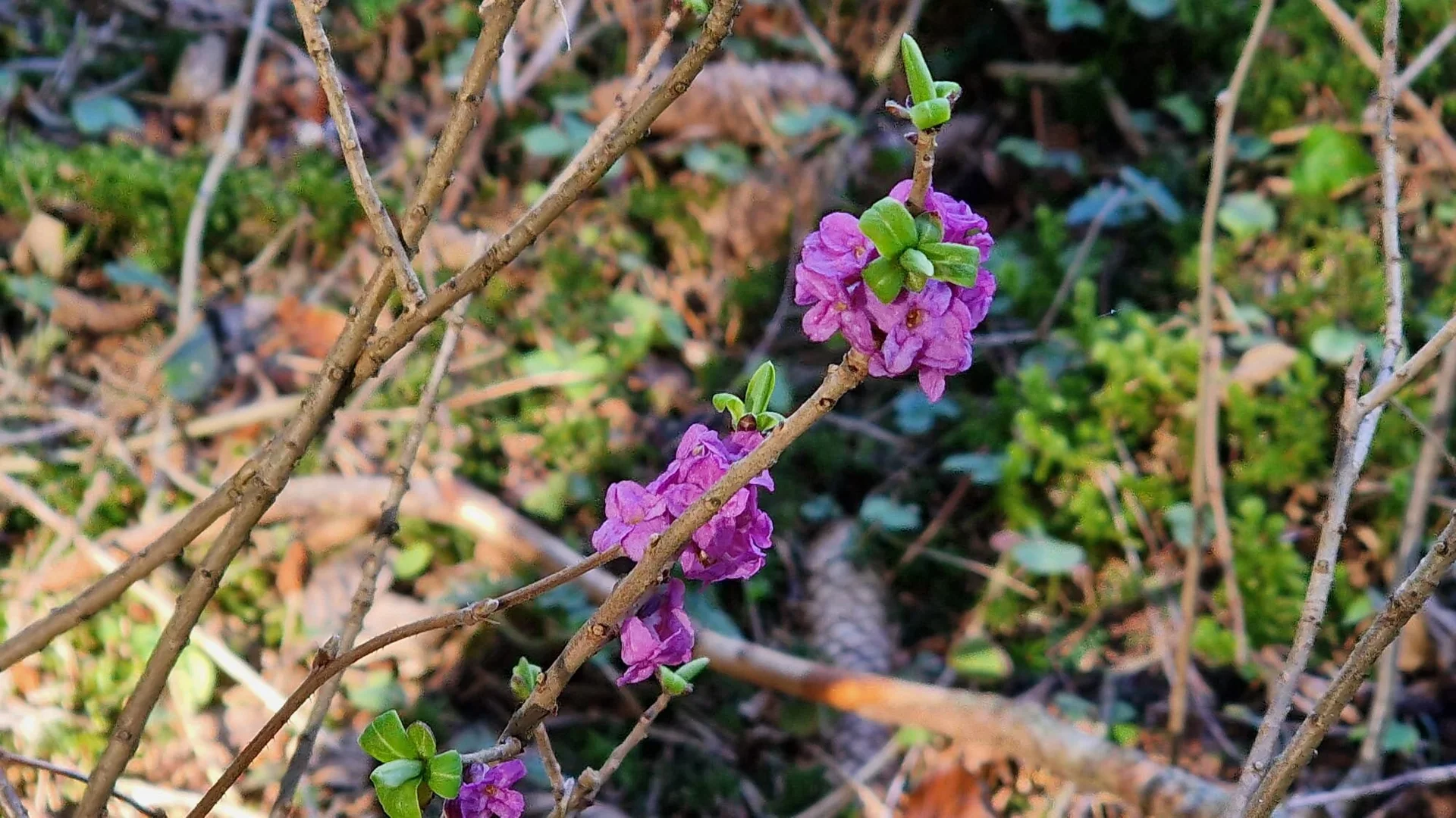 © DAV/Werner Létang