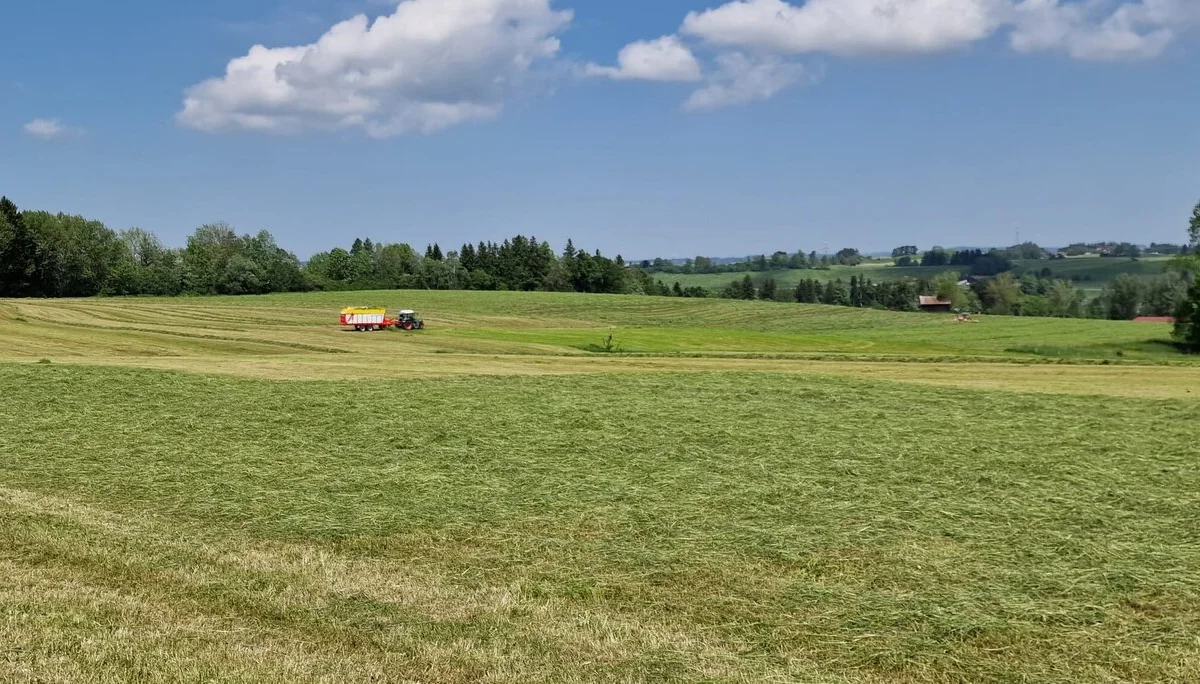 © DAV/Werner Létang