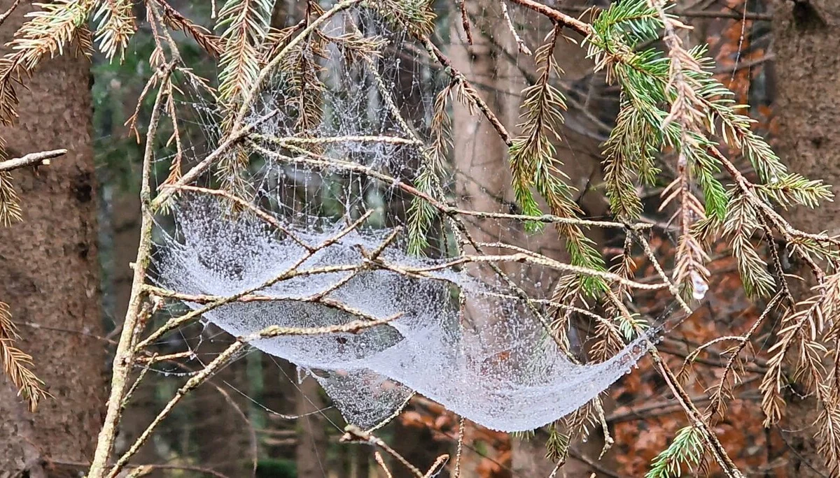 © DAV/Werner Letang