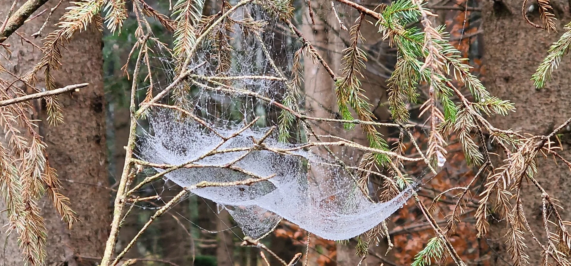 © DAV/Werner Letang