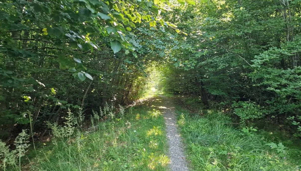 © DAV/Werner Létang