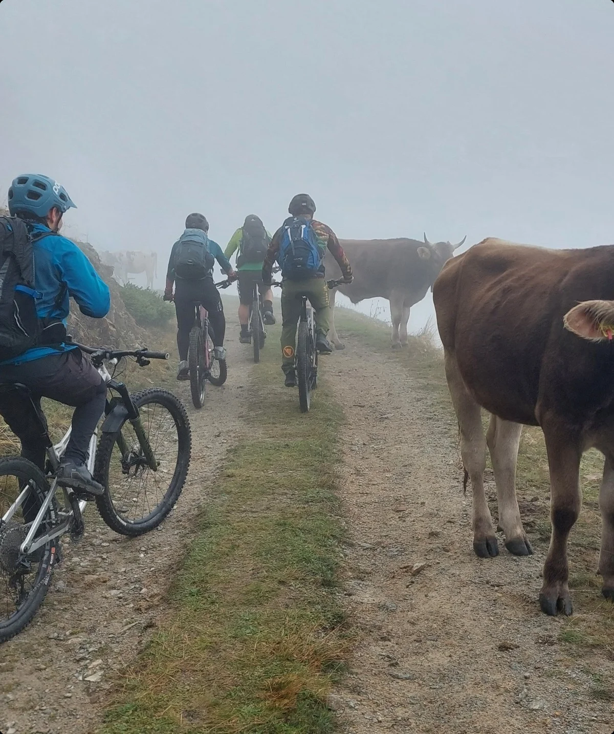 © DAV/Werner Ottner