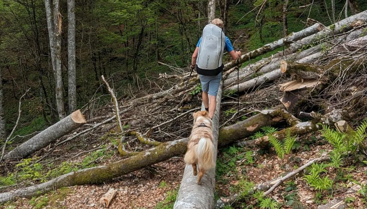 © DAV/Philipp Rimkus