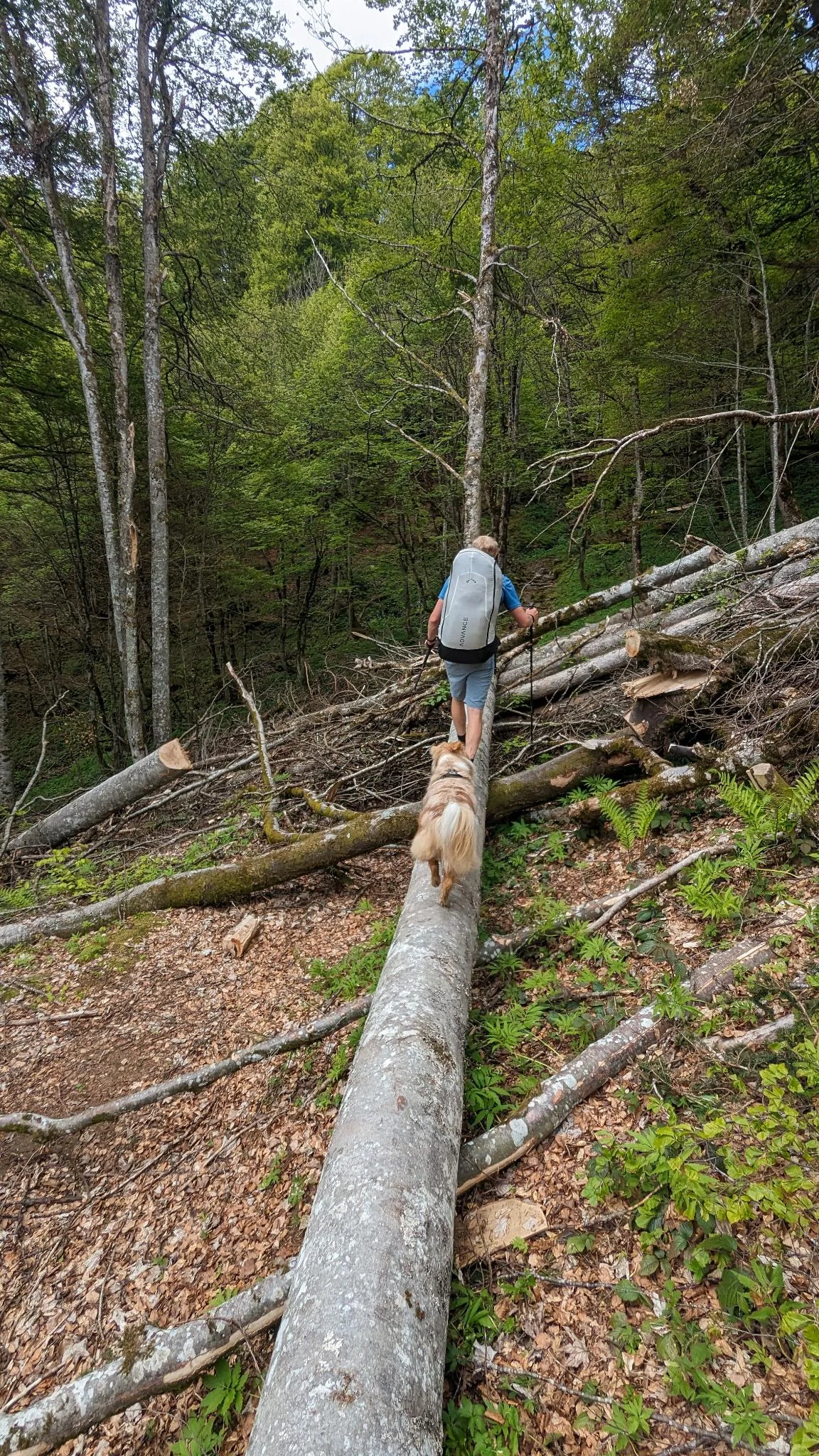 © DAV/Philipp Rimkus