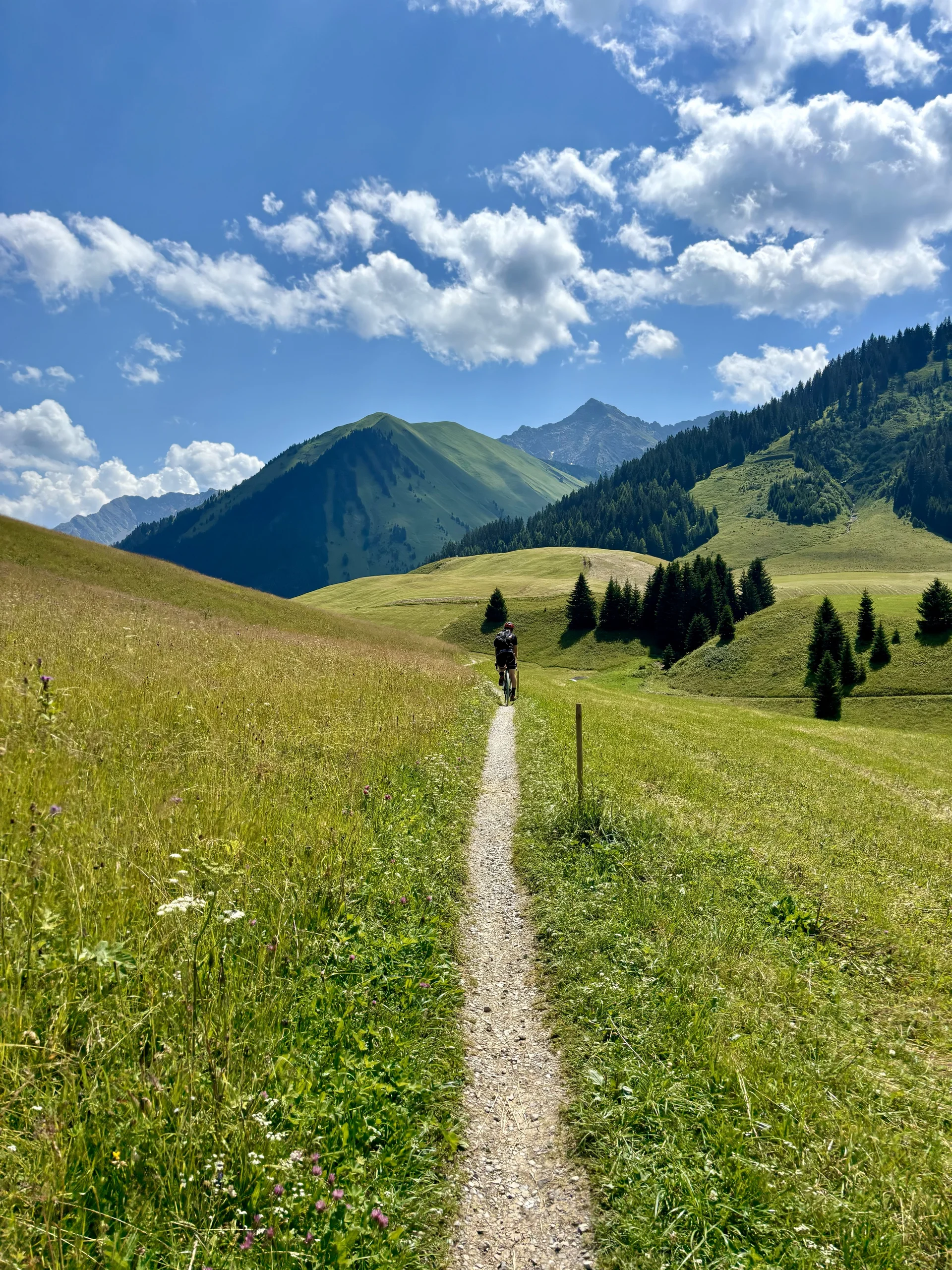 Bergpfad nach Berwang | © DAV/Valentin Thoss