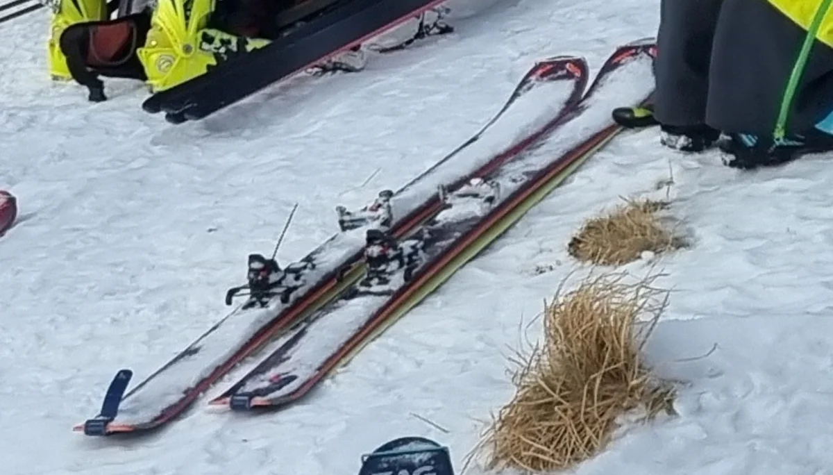 Felle ohne Kleber | © Daniela Tritscher