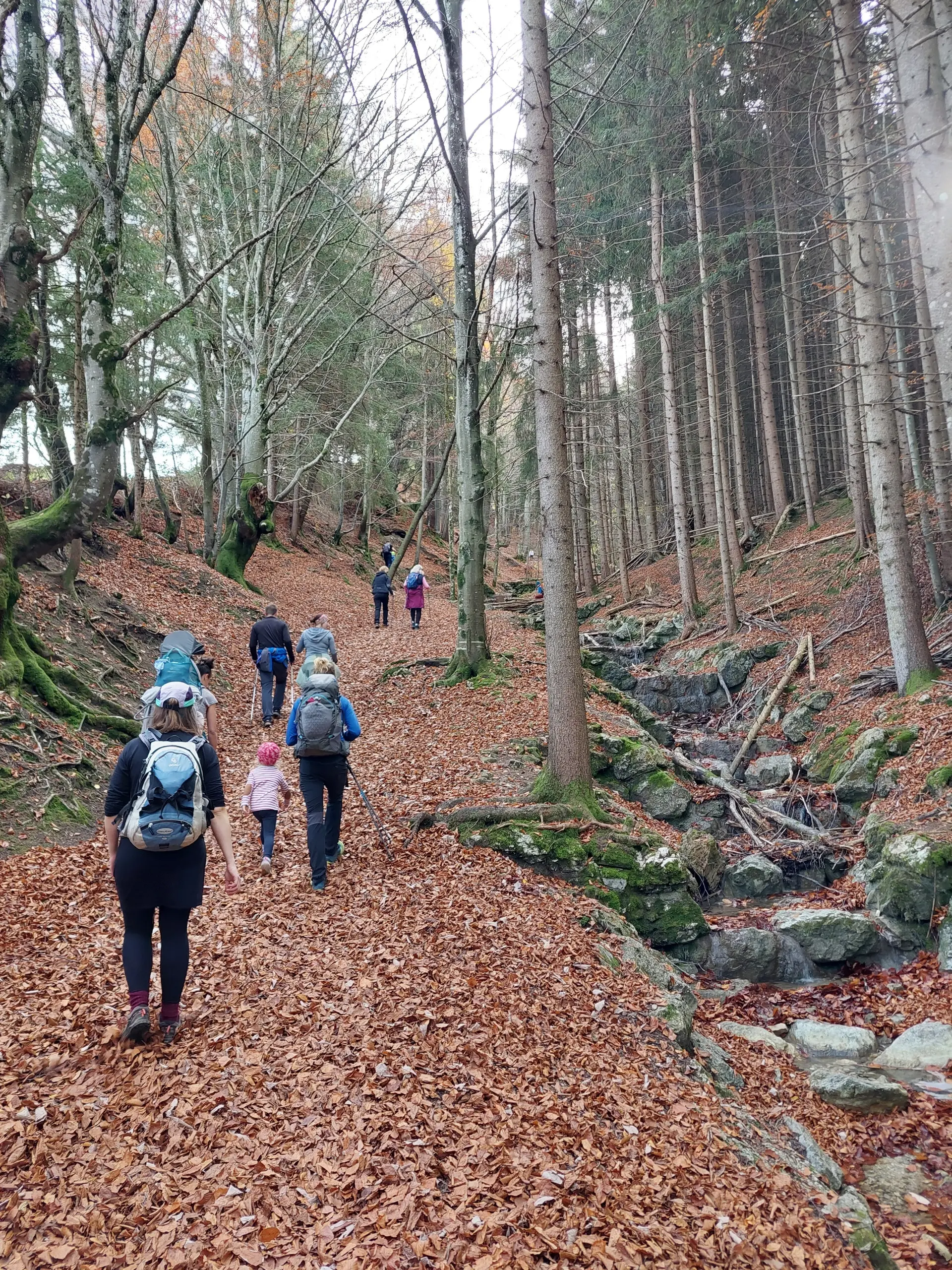 © DAV/Marvin Scupin