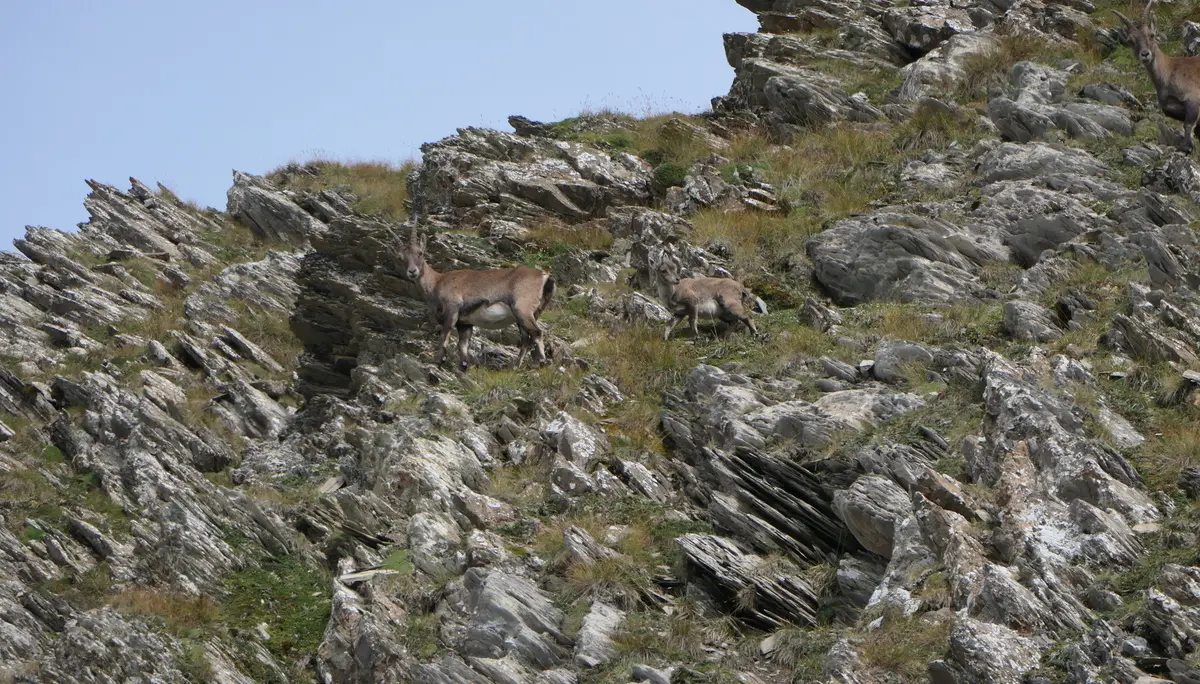 Augsburger Höhenweg | © Oliver Riegg