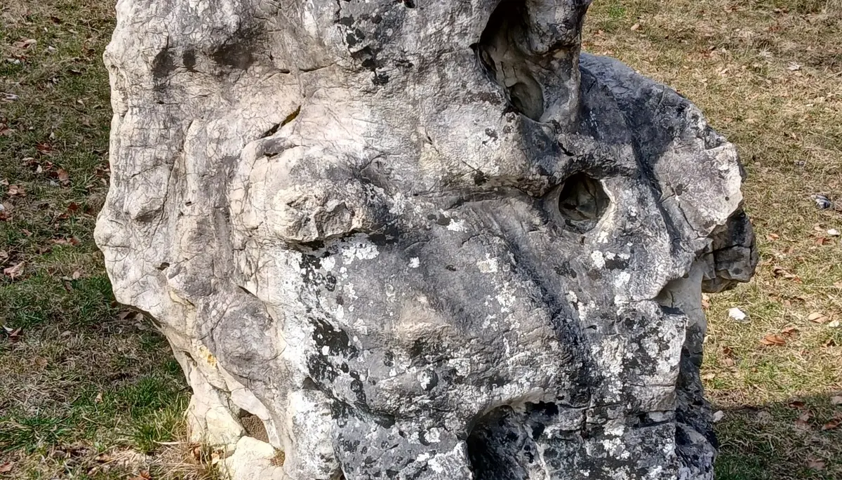 Wanderung am Alatsee, Mittersee, Obersee | © DAV/Siegfried Stanzel