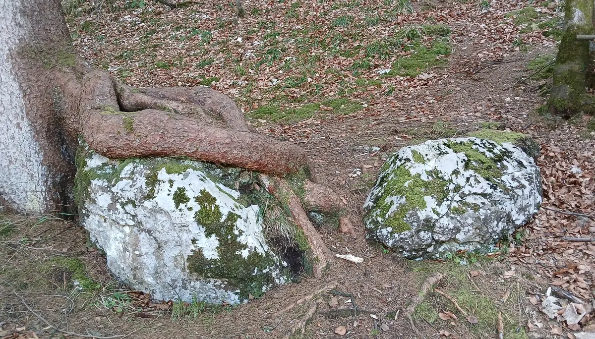 Wanderung am Alatsee, Mittersee, Obersee | © DAV/Siegfried Stanzel