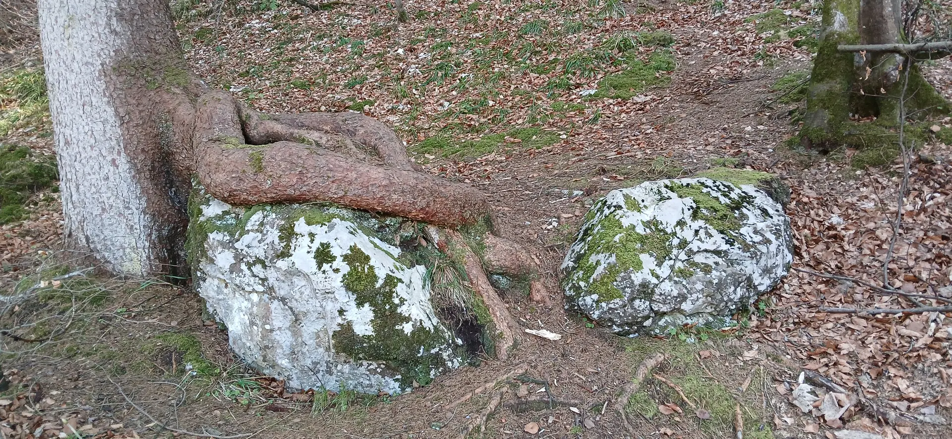 Wanderung am Alatsee, Mittersee, Obersee | © DAV/Siegfried Stanzel