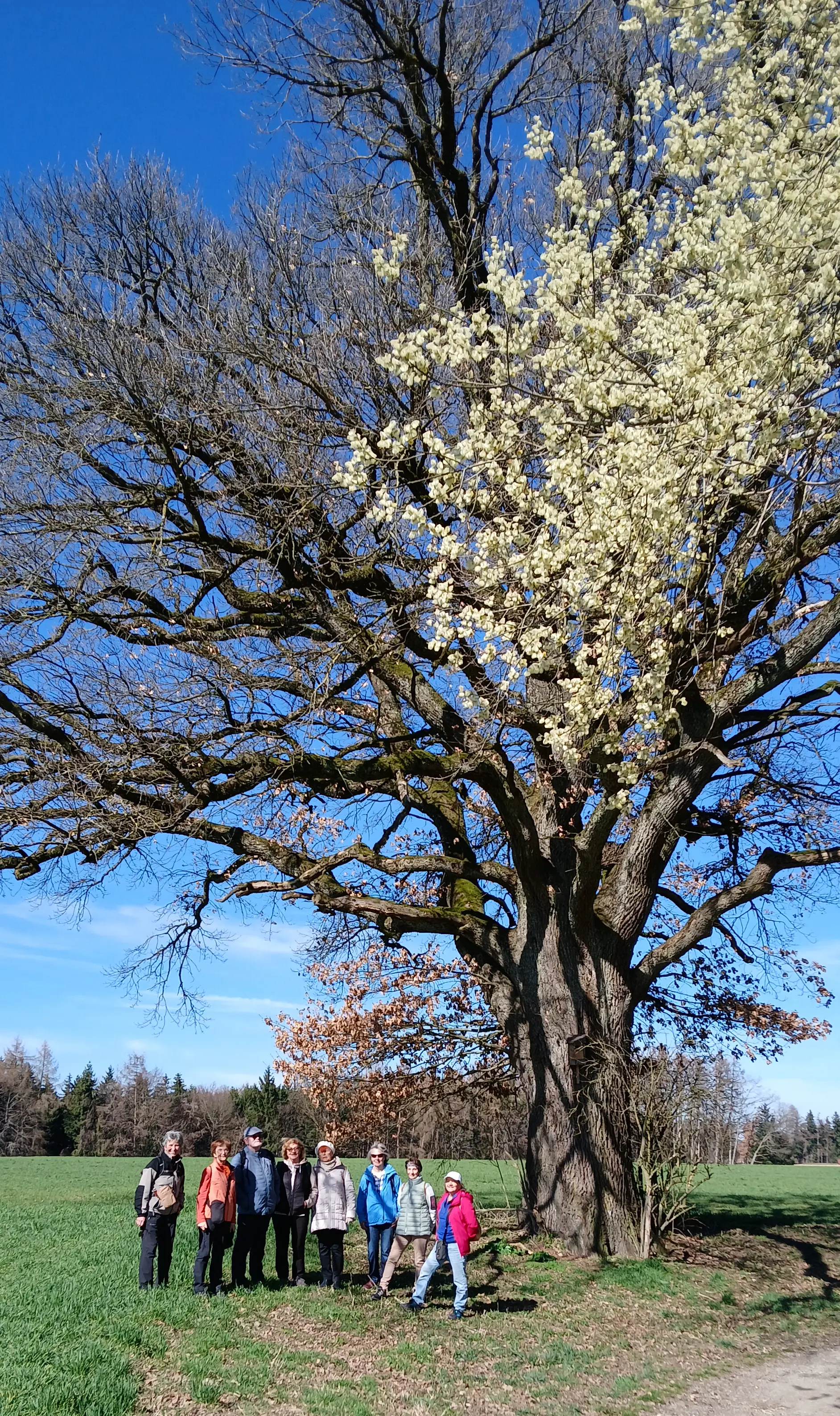 Rundweg zur Mindelburg | © DAV/Siegfried Stanzel