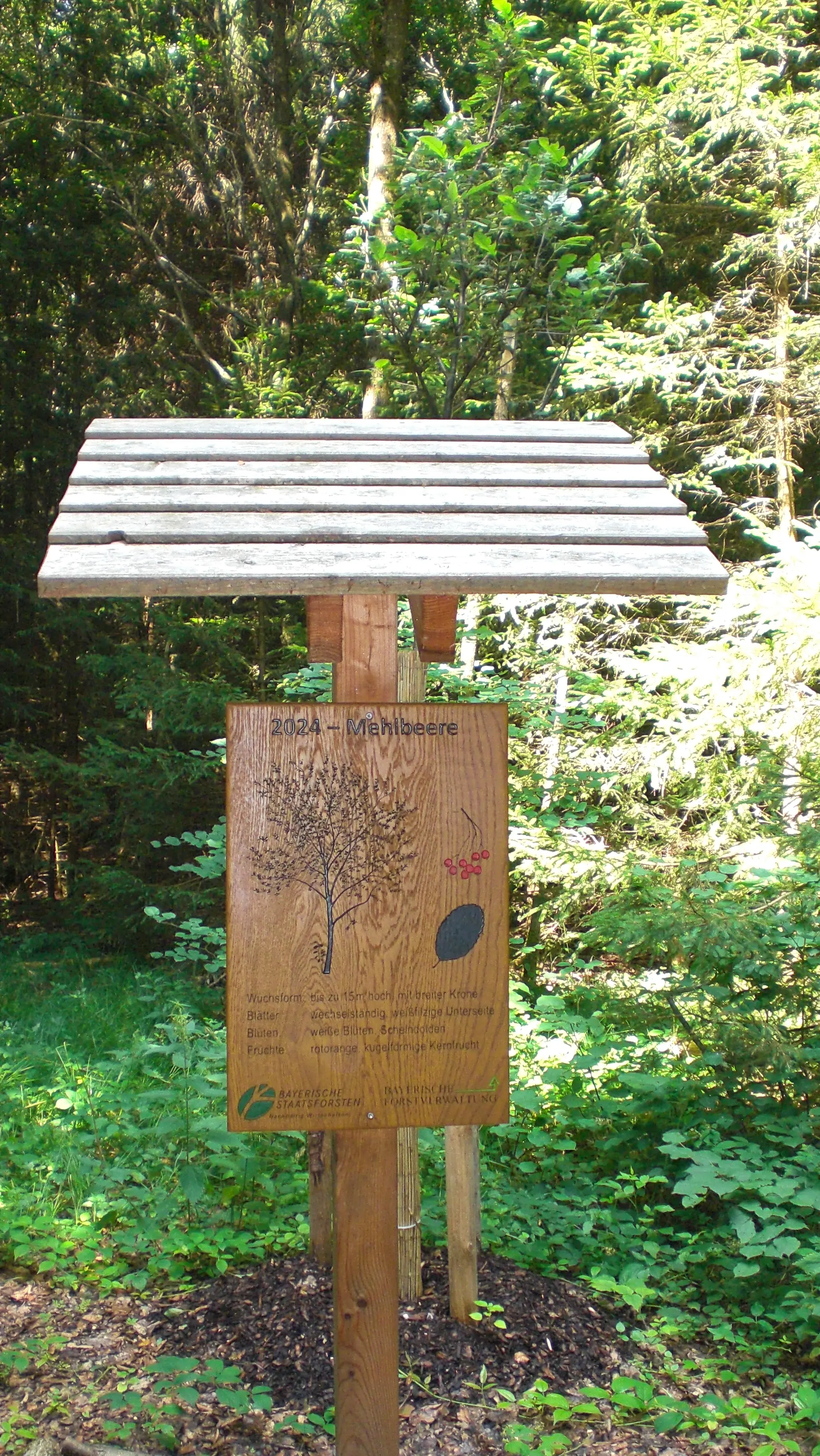 Wanderung nach Hartental (Bad Wörishofen) | © DAV/Siegfried Stanzel
