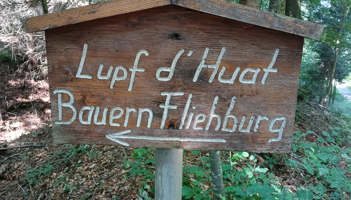Wanderung zur Bergmang Alpe | © DAV/Siegfried Stanzel