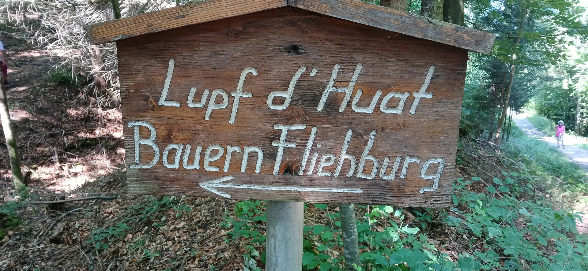 Wanderung zur Bergmang Alpe | © DAV/Siegfried Stanzel