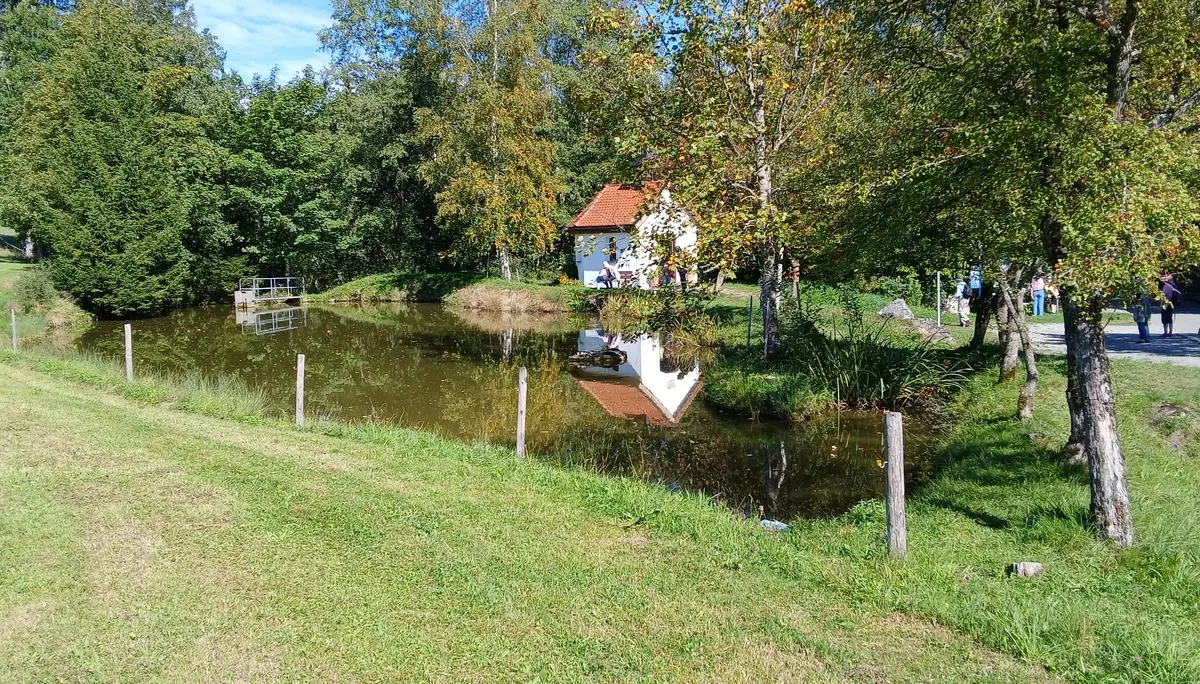 Wanderung in Betzigau | © DAV/Siegfried Stanzel