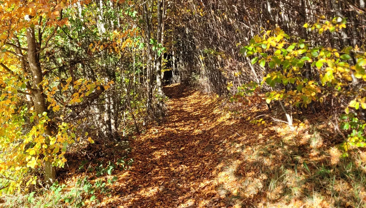 © DAV/Carolin Ullrich