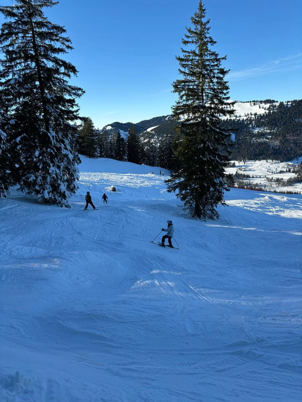 © DAV/Felizitas Steuer