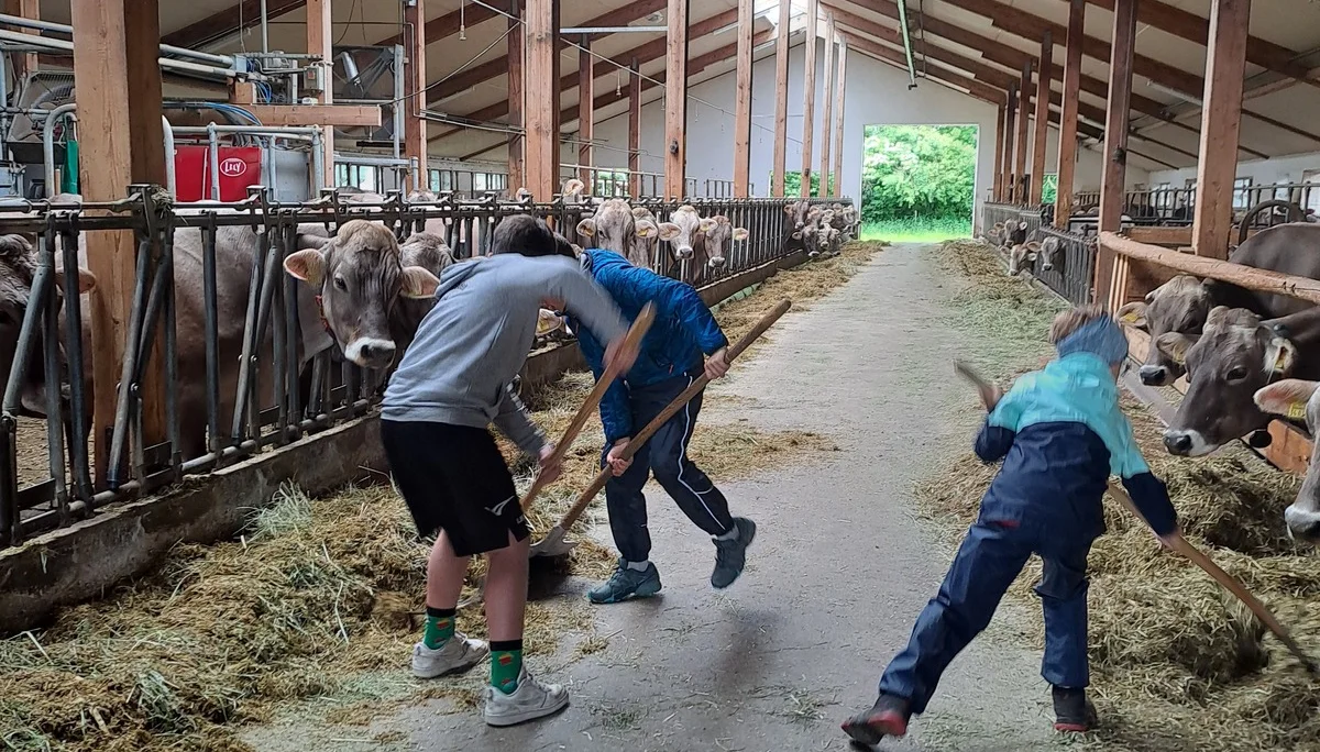 © DAV/Vinzenz Wildung