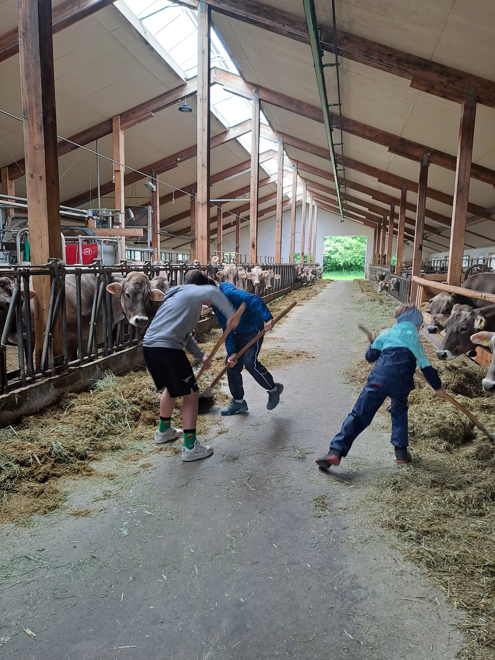 © DAV/Vinzenz Wildung