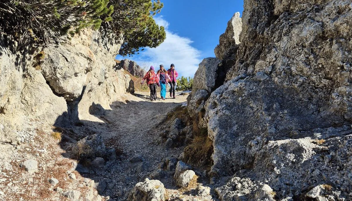 © DAV/Vinzenz Wildung