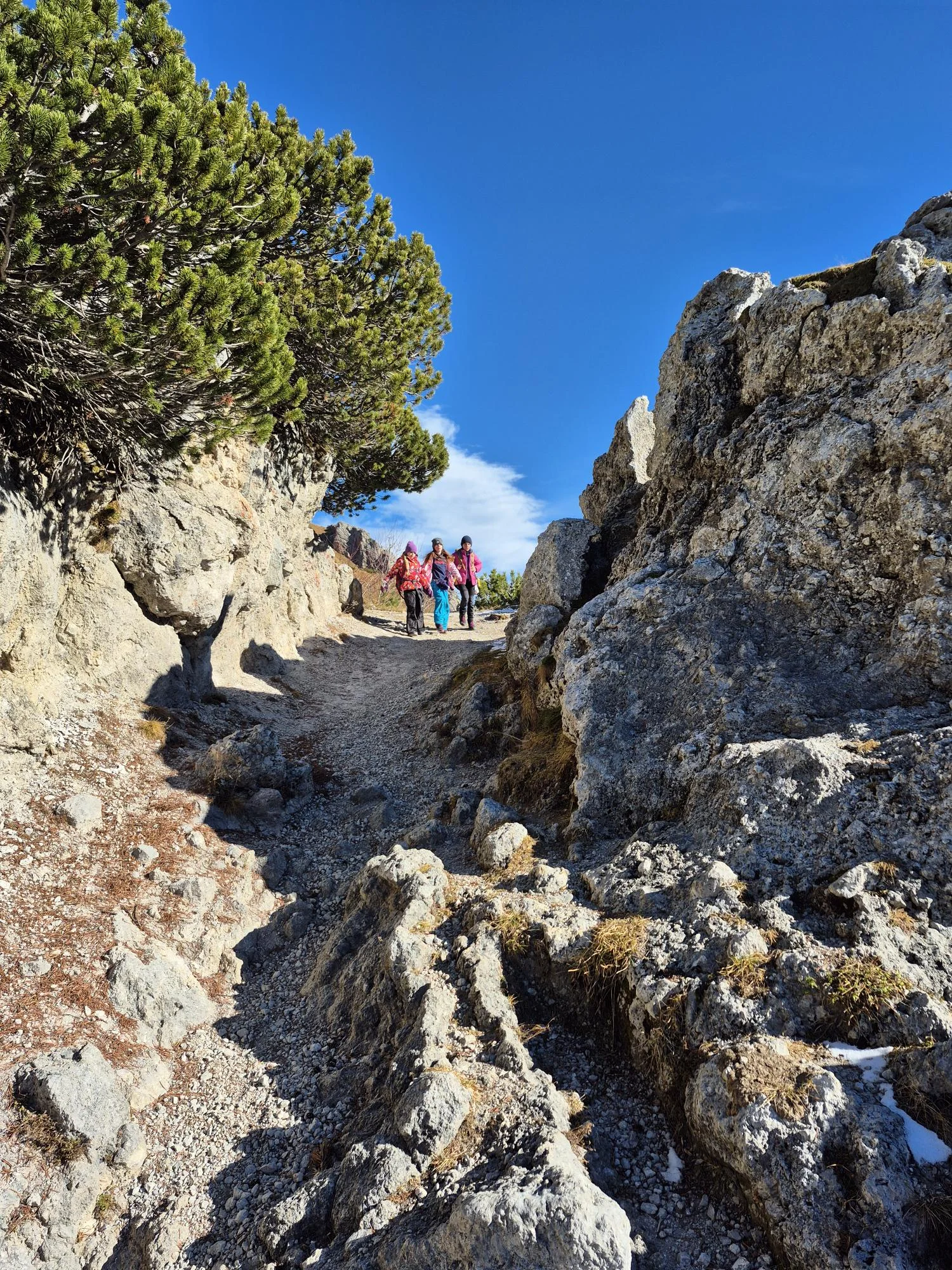 © DAV/Vinzenz Wildung