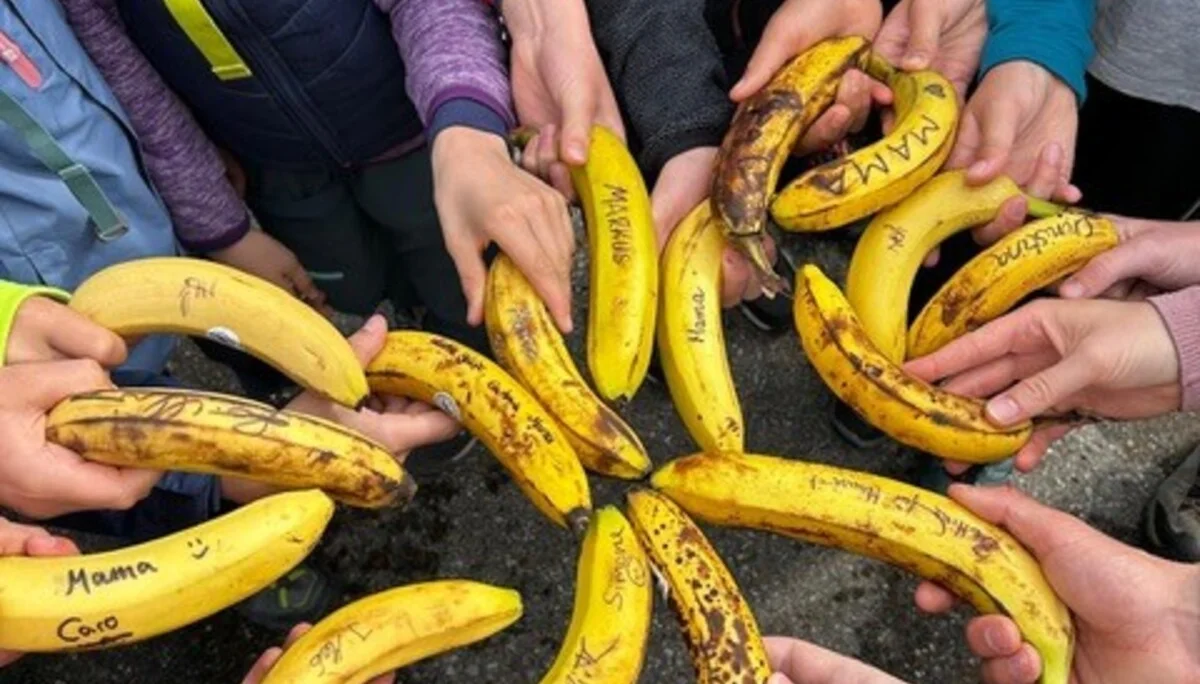 © DAV/Johannes Hausmann