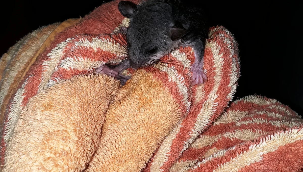 © DAV/Marlene Wildung