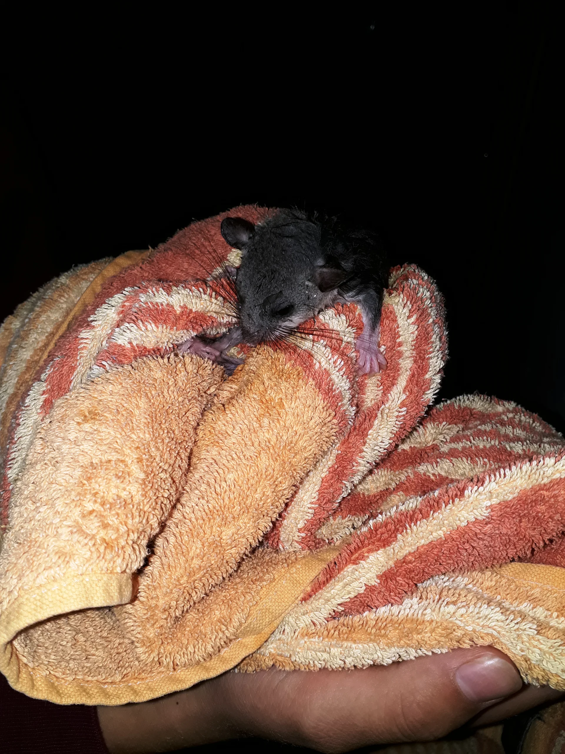 © DAV/Marlene Wildung