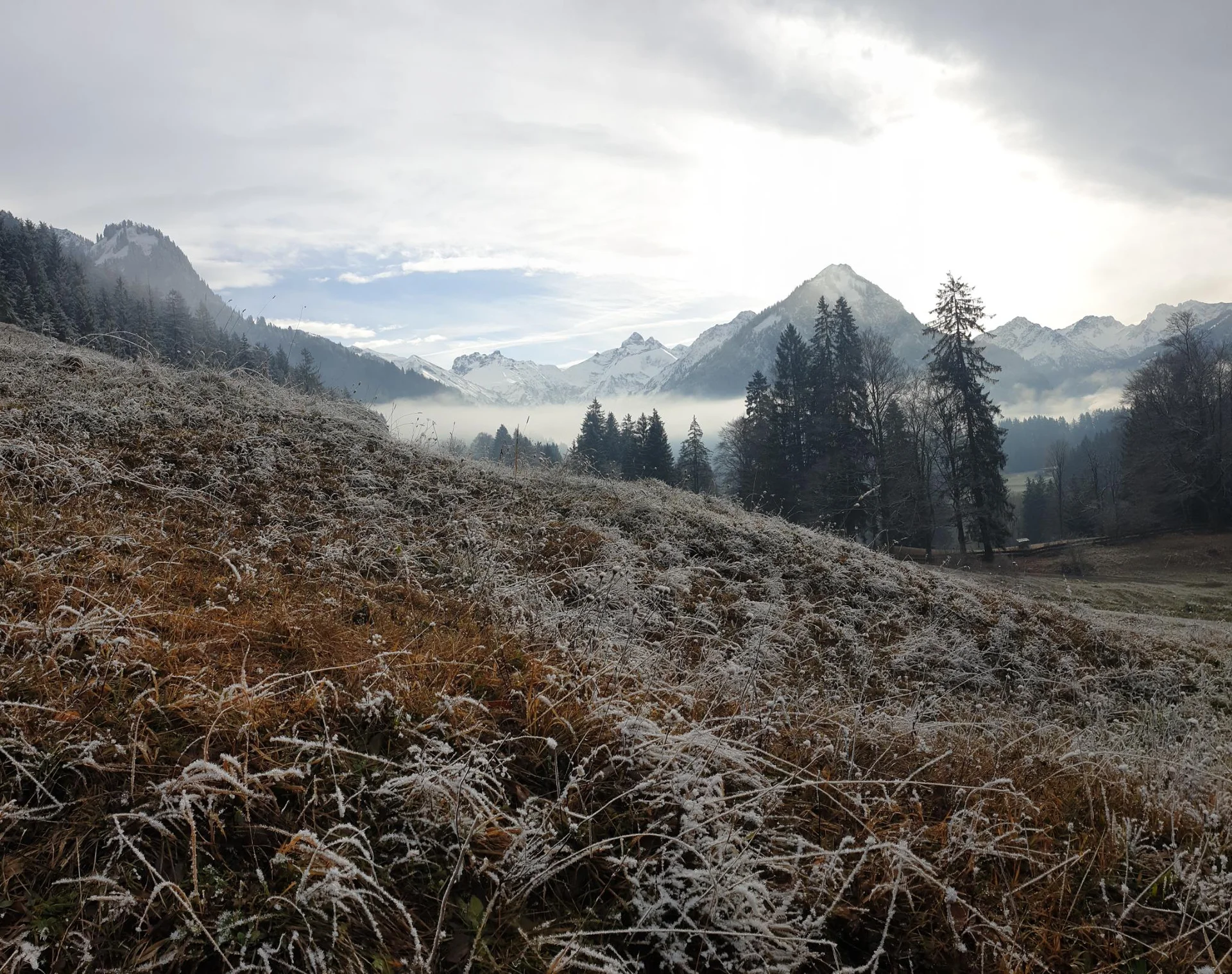 © DAV/Sophie Scupin