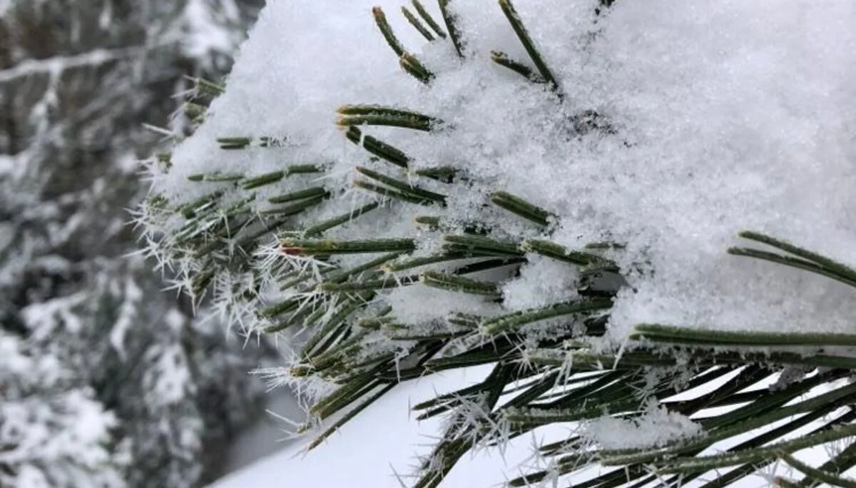 © DAV/Valentin Thoss