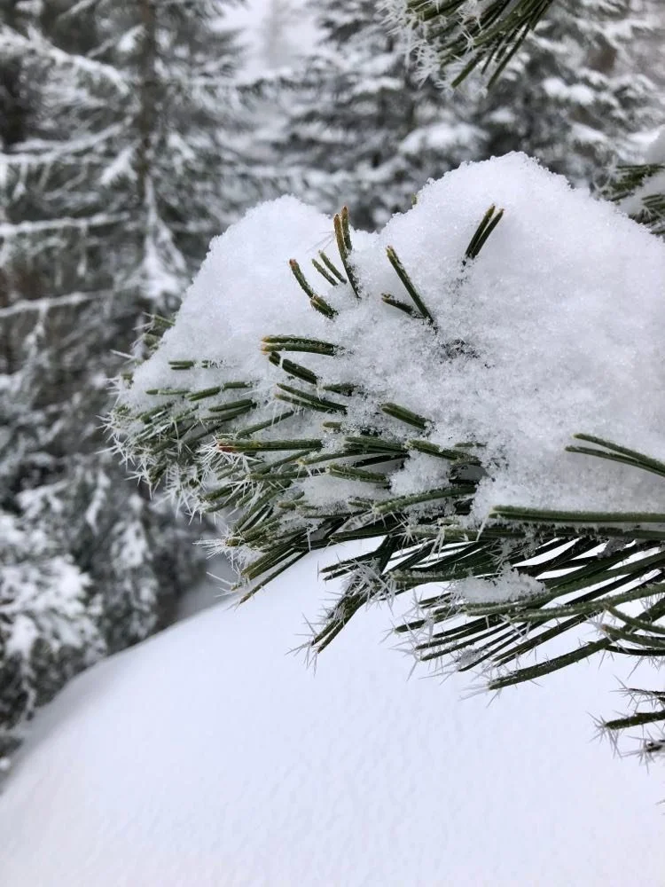 © DAV/Valentin Thoss