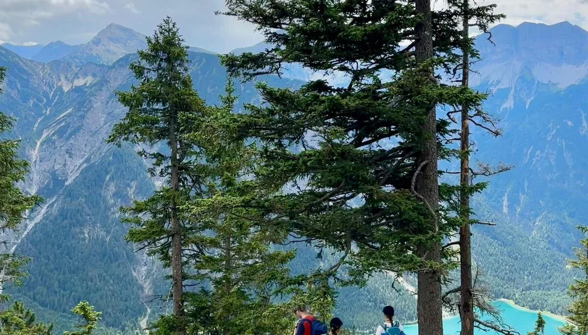 © DAV/Vinzenz Wildung