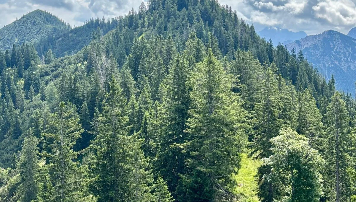 © DAV/Vinzenz Wildung