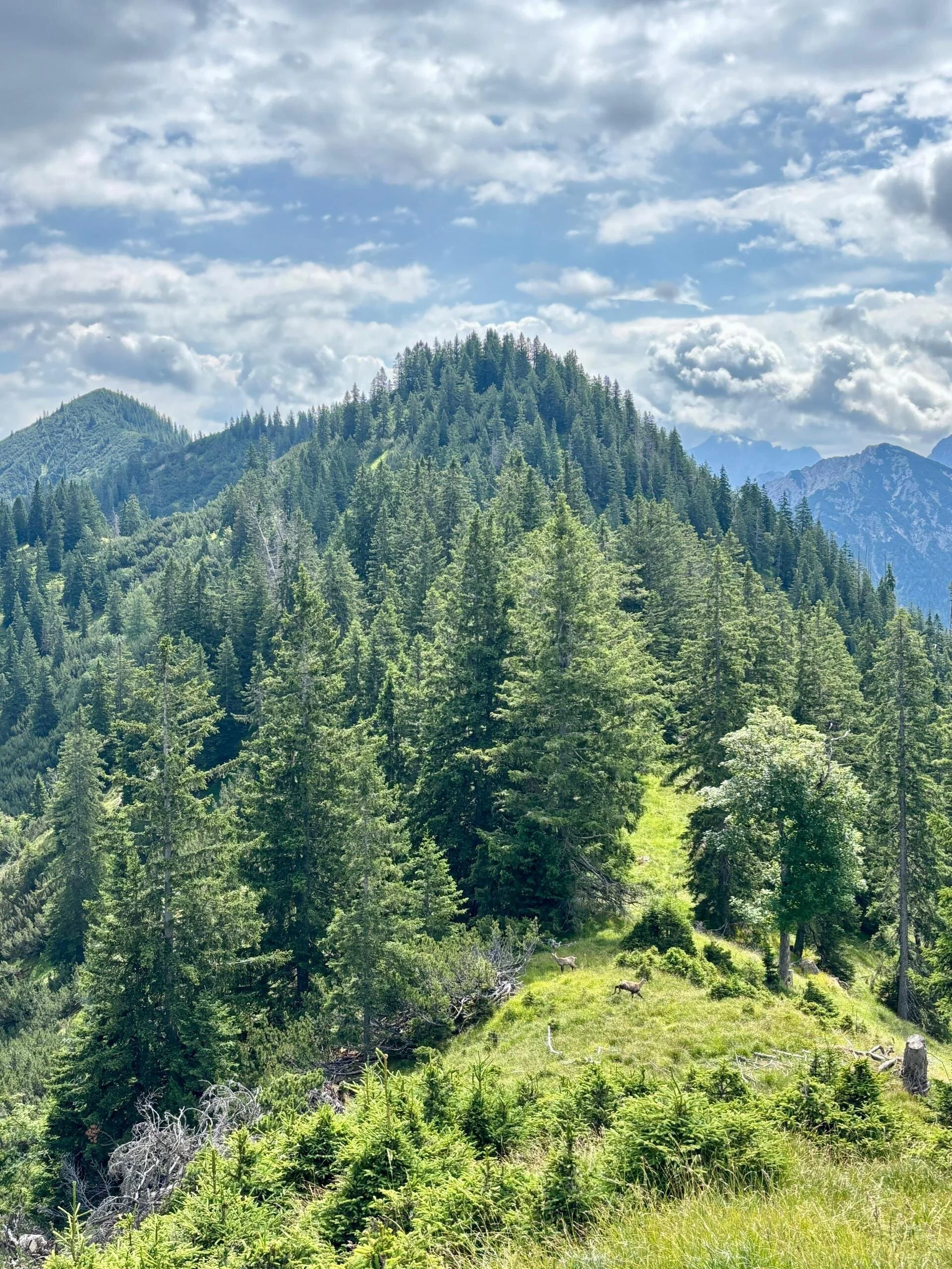 © DAV/Vinzenz Wildung