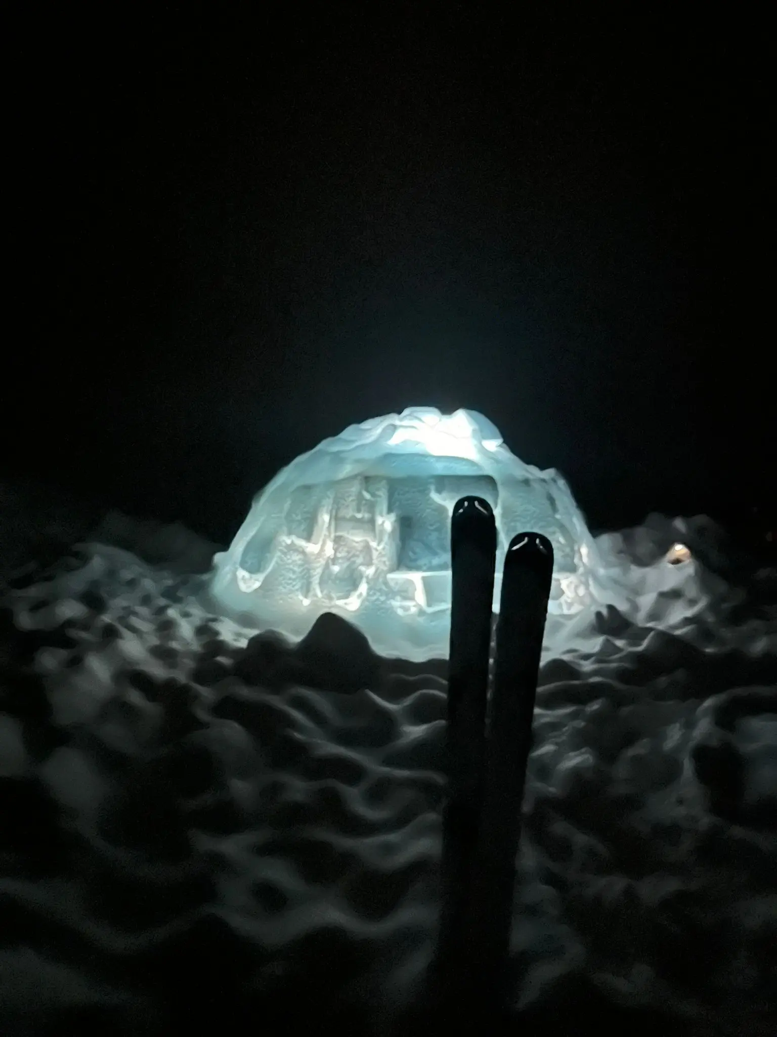 Die jungen Wilden auf Iglutour | © DAV/Vera Langguth