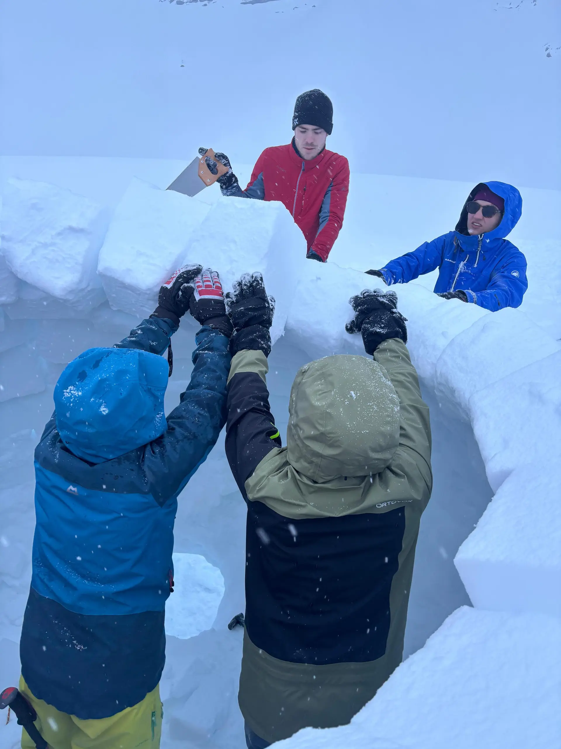 Die jungen Wilden auf Iglutour | © DAV/Vera Langguth