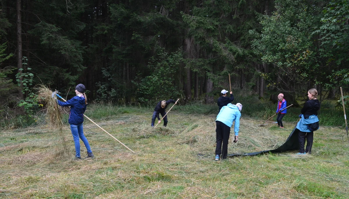 © Christoph Leipold