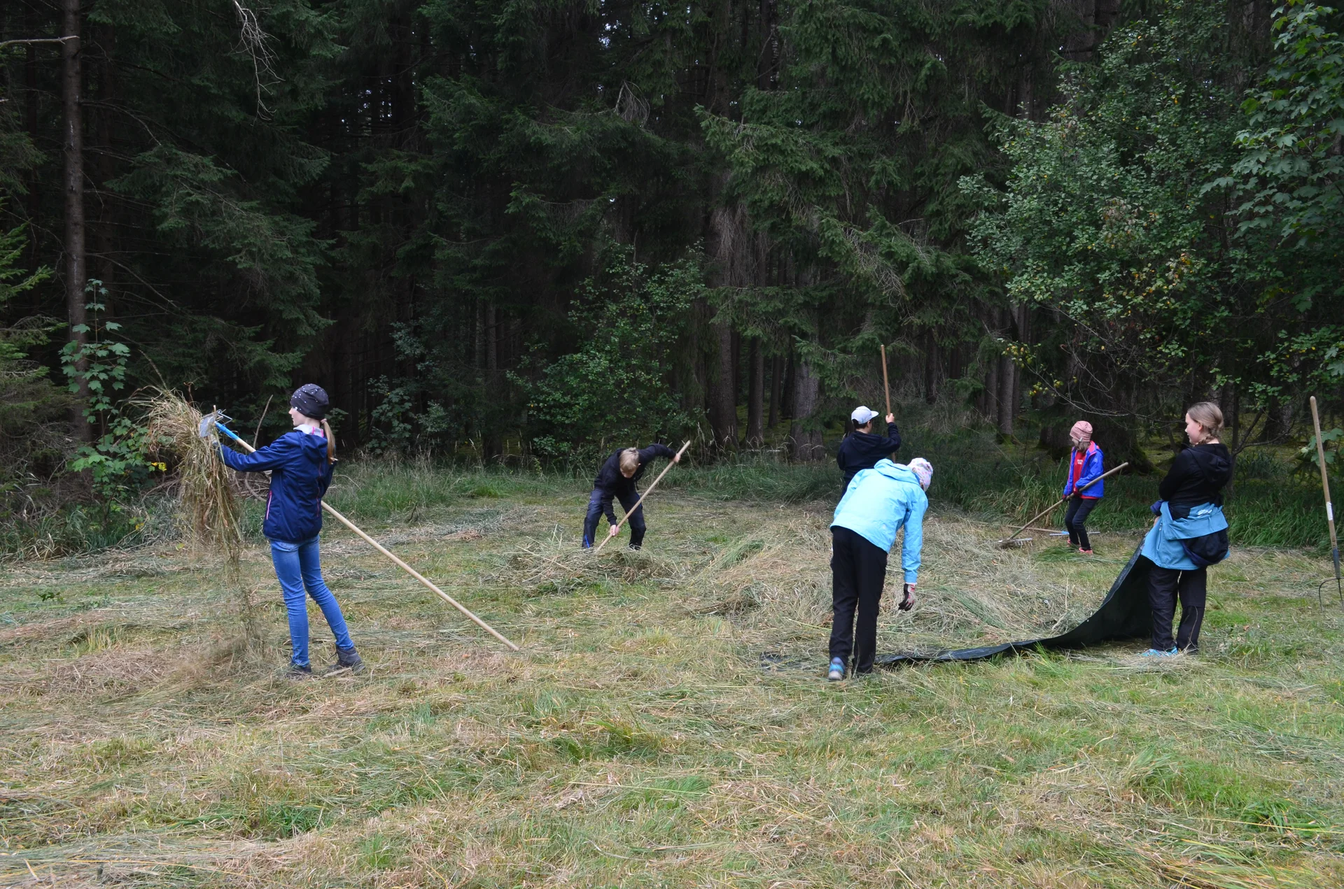 © Christoph Leipold