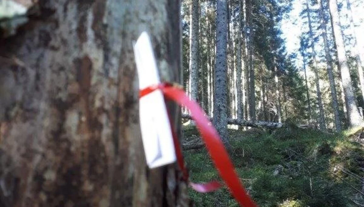 © DAV/Thomas Weinmüller